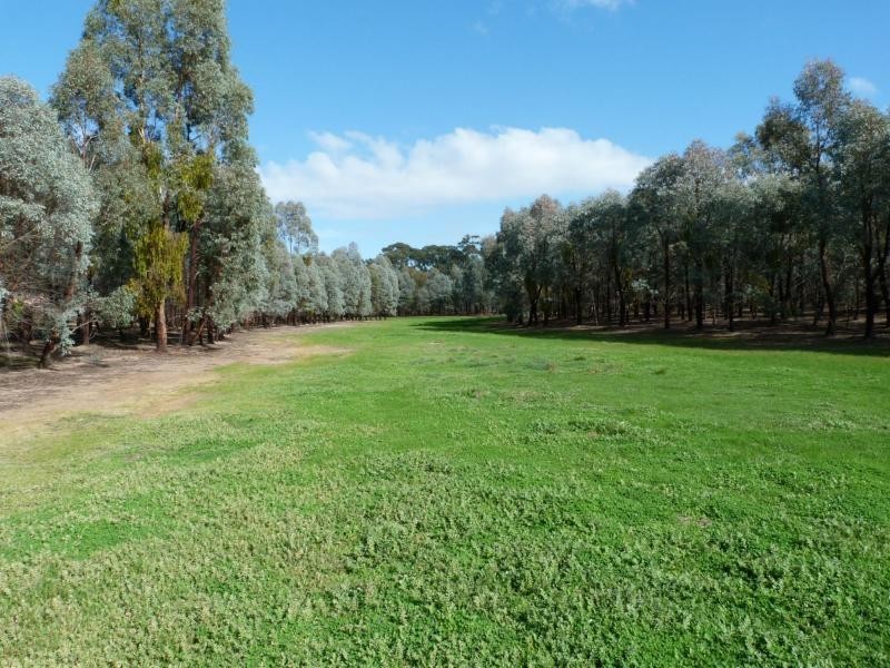 CA 32 Lamont Road, Tarnook, Benalla VIC 3672