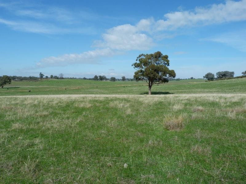 CA 32 Lamont Road, Tarnook, Benalla VIC 3672