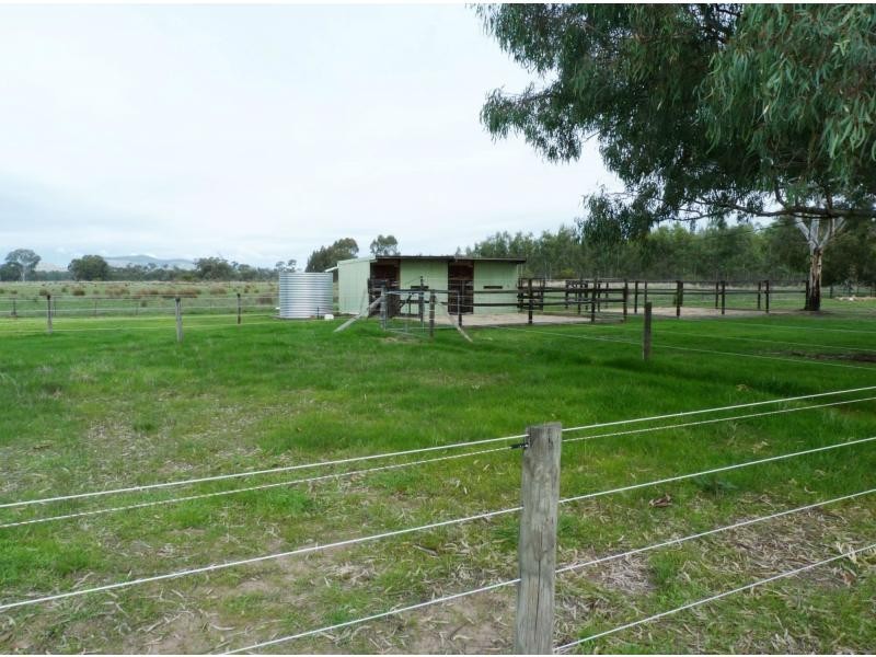 88 Grattan Lane, Violet Town VIC 3669