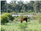 1157 Dookie Violet Town Road, Earlston, Violet Town VIC 3669