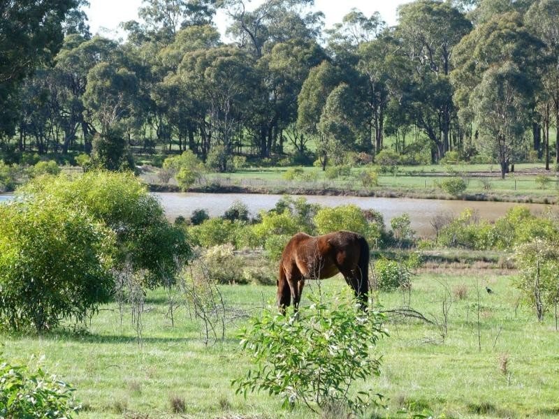 1157 Dookie Violet Town Road, Earlston, Violet Town VIC 3669