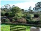 1157 Dookie Violet Town Road, Earlston, Violet Town VIC 3669