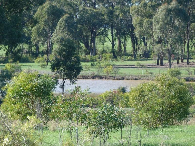 1157 Dookie Violet Town Road, Earlston, Violet Town VIC 3669