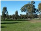 1157 Dookie Violet Town Road, Earlston, Violet Town VIC 3669