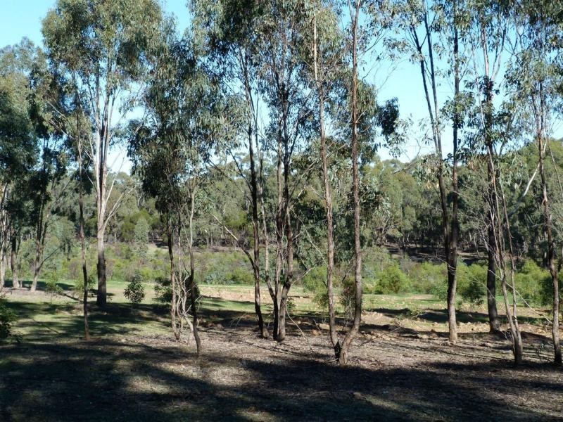 1157 Dookie Violet Town Road, Earlston, Violet Town VIC 3669