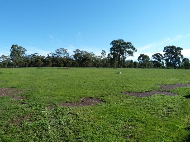 1157 Dookie Violet Town Road, Earlston, Violet Town VIC 3669