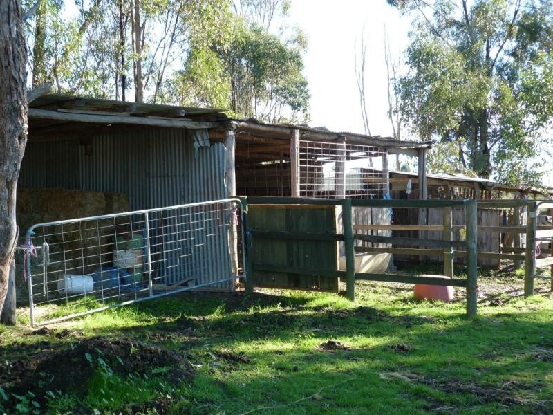 1157 Dookie Violet Town Road, Earlston, Violet Town VIC 3669