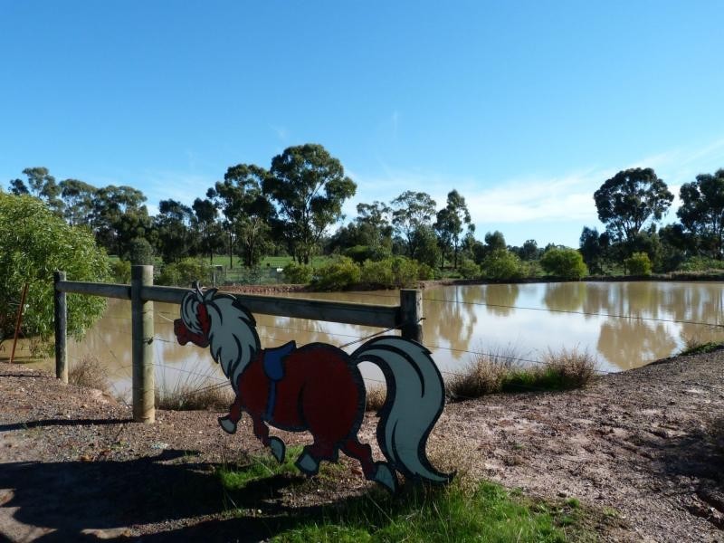 1157 Dookie Violet Town Road, Earlston, Violet Town VIC 3669