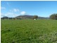 345 Odea Road, Molyullah VIC 3673