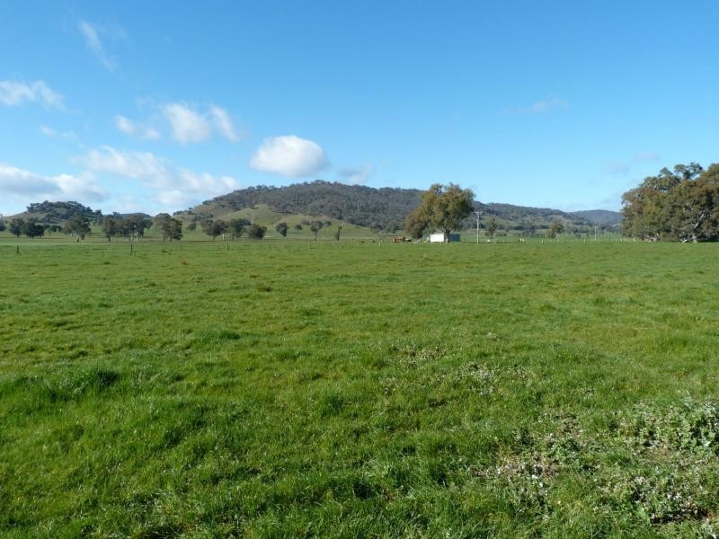 345 Odea Road, Molyullah VIC 3673