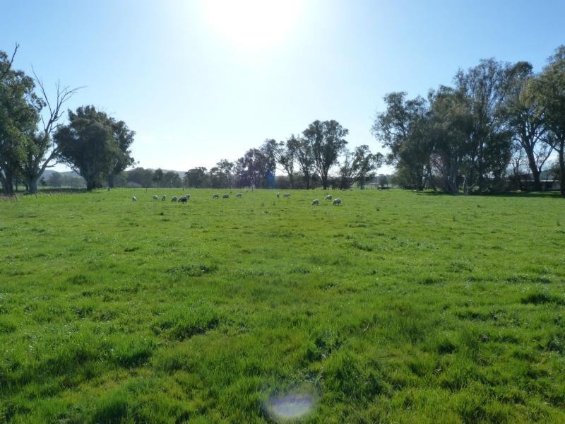 345 Odea Road, Molyullah VIC 3673