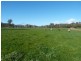 345 Odea Road, Molyullah VIC 3673