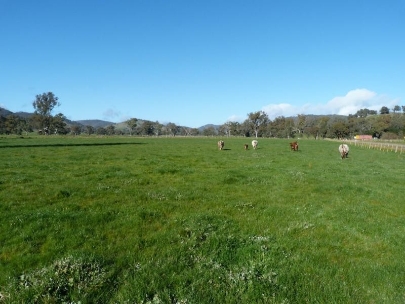 345 Odea Road, Molyullah VIC 3673