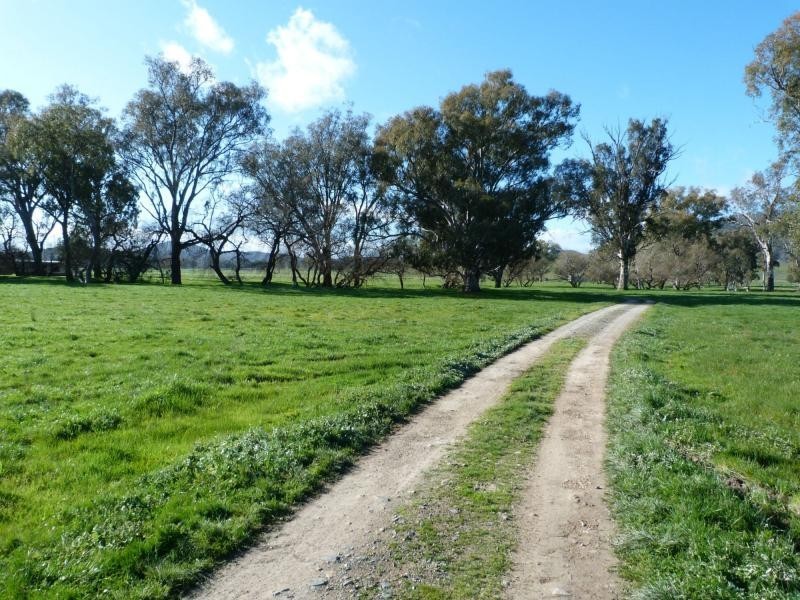 345 Odea Road, Molyullah VIC 3673