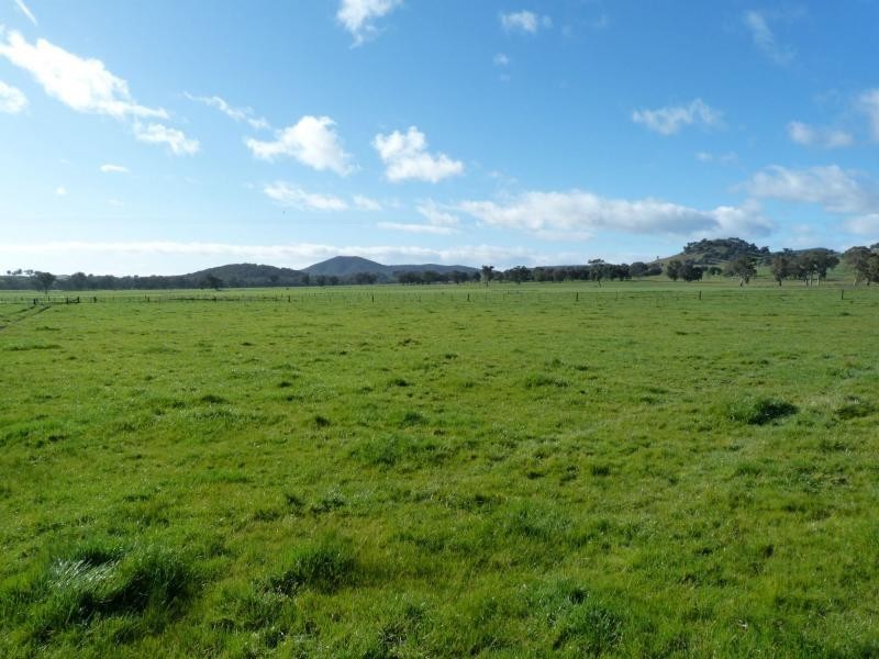 345 Odea Road, Molyullah VIC 3673