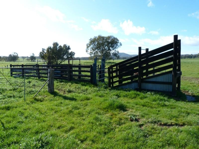 345 Odea Road, Molyullah VIC 3673