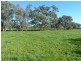 345 Odea Road, Molyullah VIC 3673