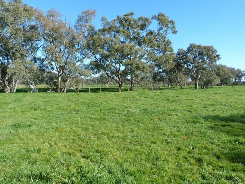 345 Odea Road, Molyullah VIC 3673