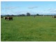 L7 & 8 Syndey Road, Benalla VIC 3672