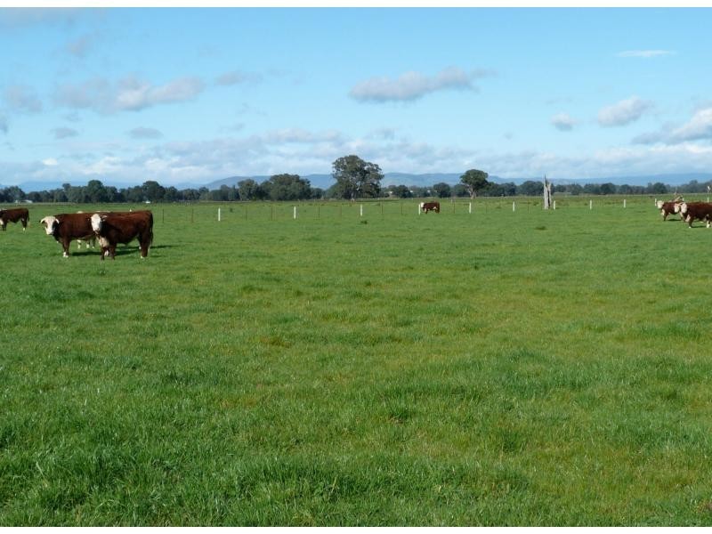 L7 & 8 Syndey Road, Benalla VIC 3672