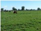 L1 & 2 Morey Road, Benalla VIC 3672