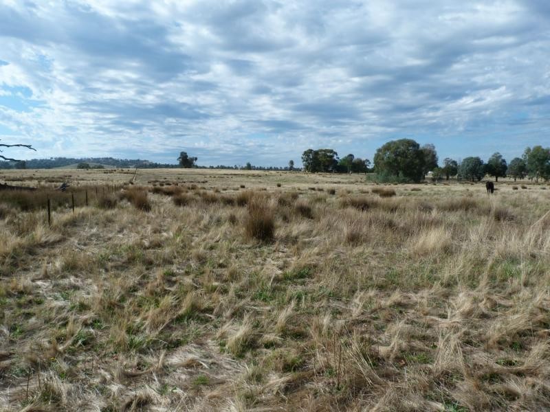 L1 Old Lurg Road, Lurg VIC 3673