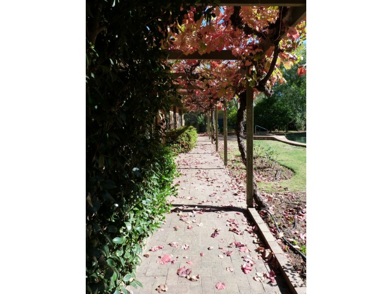 20 McConnan Street, Benalla VIC 3672