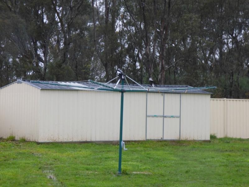 10 The Culdersac, Benalla VIC 3672