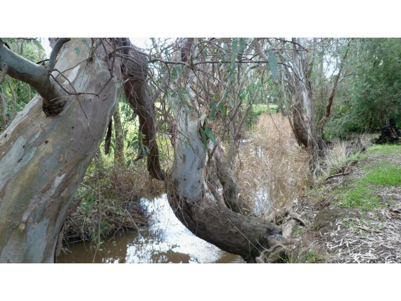 71 Grant Drive, Benalla VIC 3672