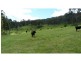 389 Davies Road, Warrenbayne VIC 3670
