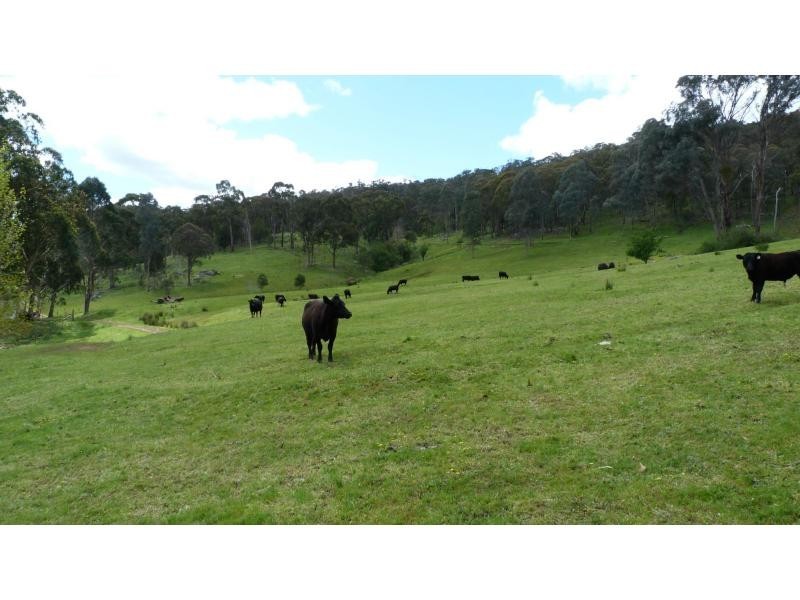 389 Davies Road, Warrenbayne VIC 3670
