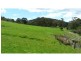 389 Davies Road, Warrenbayne VIC 3670