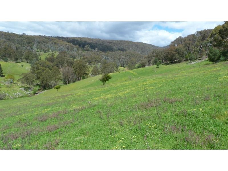 389 Davies Road, Warrenbayne VIC 3670