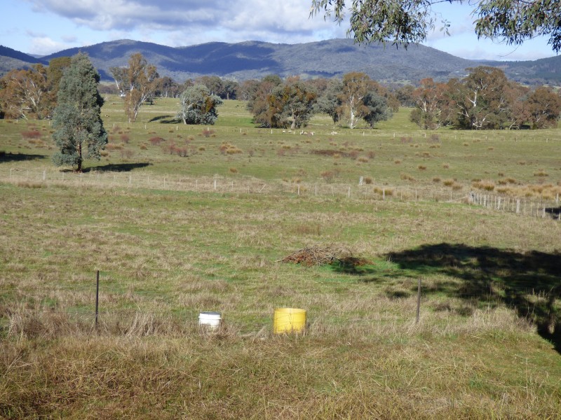 102 Tiger Hill Rd, Tatong VIC 3673