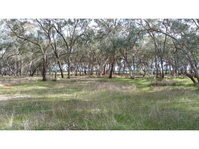 349 Oliver Rd, St James VIC 3727