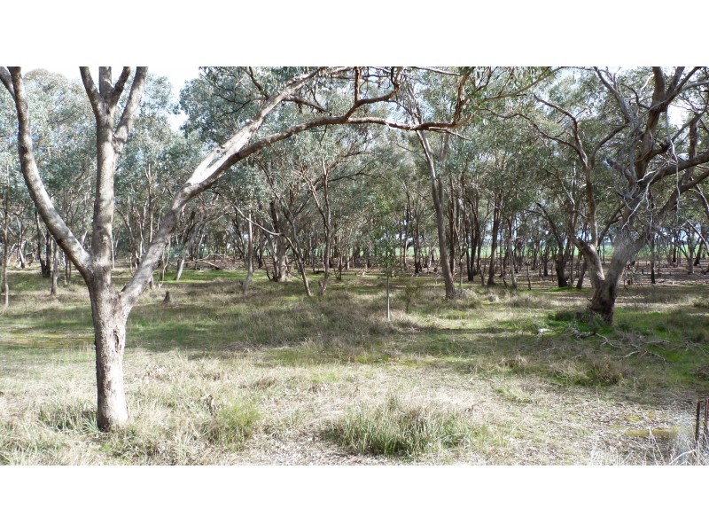 349 Oliver Rd, St James VIC 3727