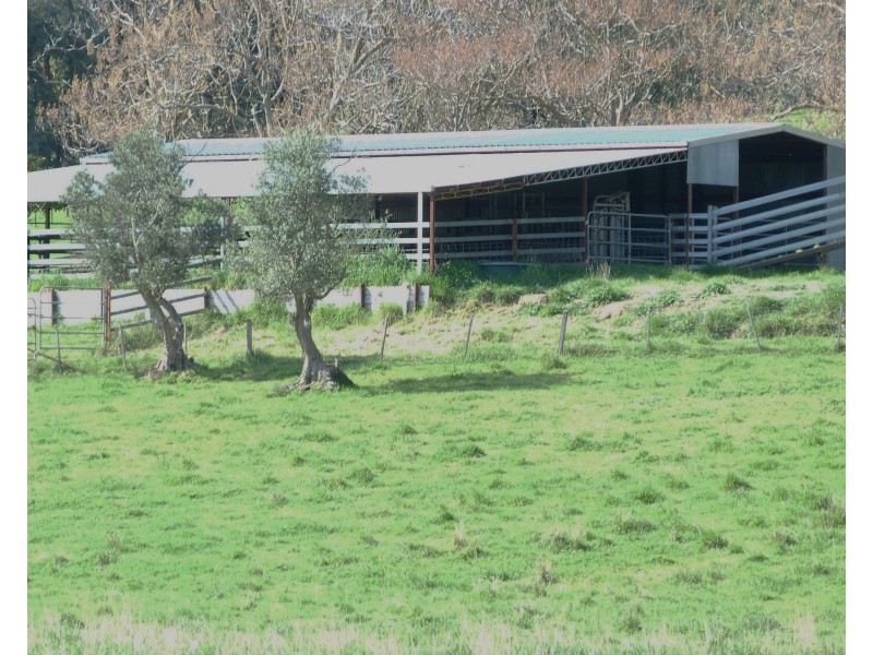 315 Davies Rd, Warrenbayne VIC 3670