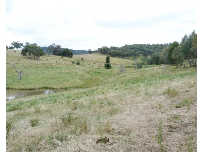 315 Davies Rd, Warrenbayne VIC 3670