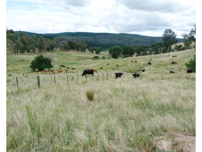 315 Davies Rd, Warrenbayne VIC 3670