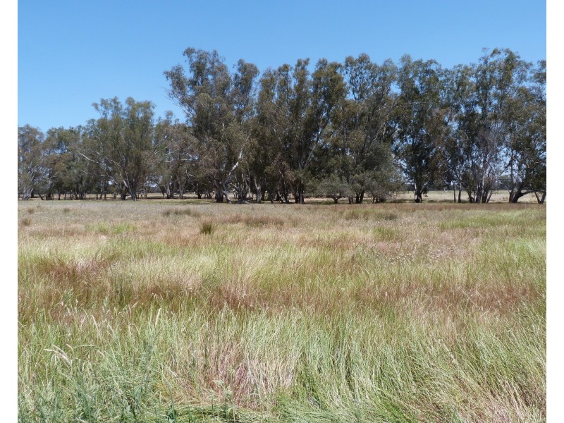 460 Harrisons Rd, Violet Town VIC 3669