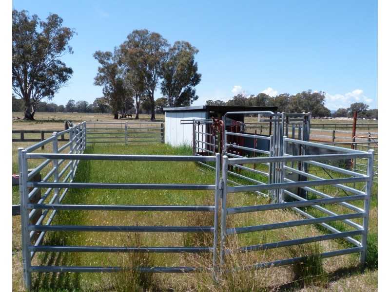 460 Harrisons Rd, Violet Town VIC 3669