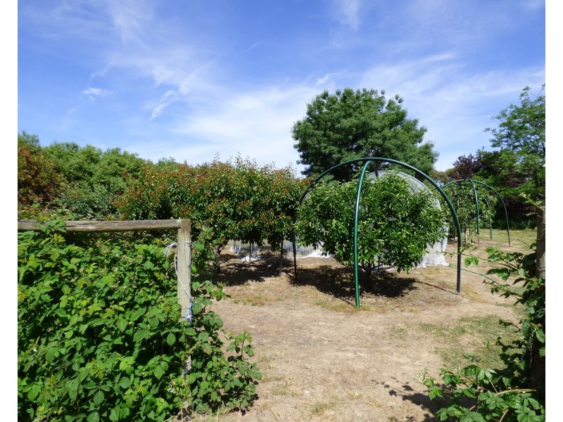 54 Grant Dr, Benalla VIC 3672