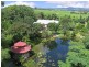 3 Trinity Close, Julatten QLD 4871