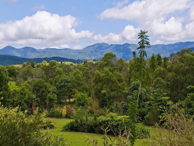 3 Trinity Close, Julatten QLD 4871