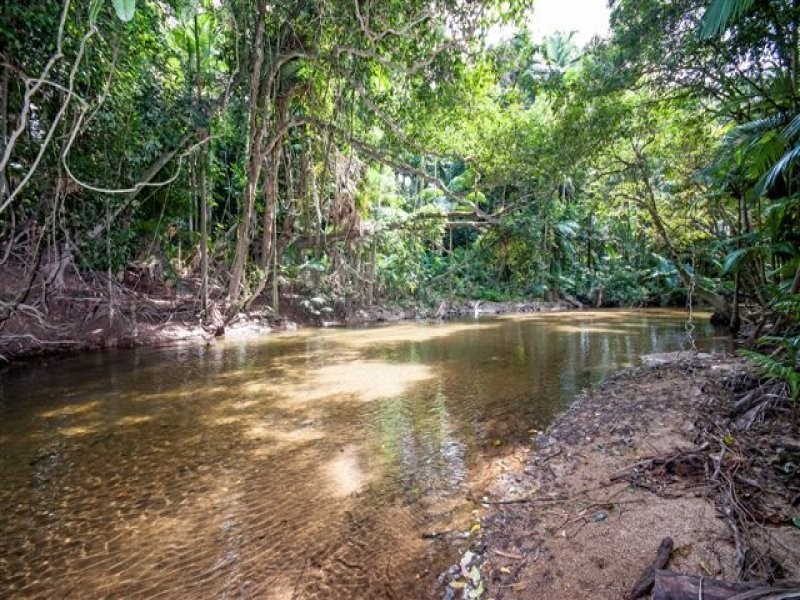 472 Miallo-Bamboo Creek Road, Miallo QLD 4873