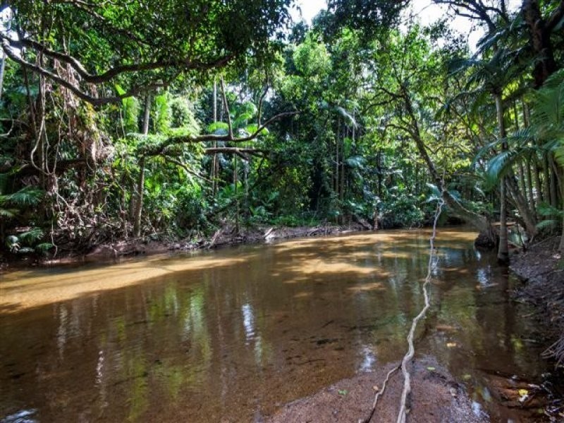 472 Miallo-Bamboo Creek Road, Miallo QLD 4873
