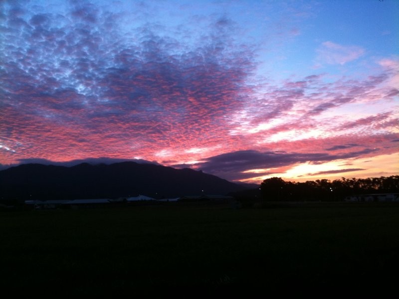 8 Shalom Close, Cooya Beach QLD 4873