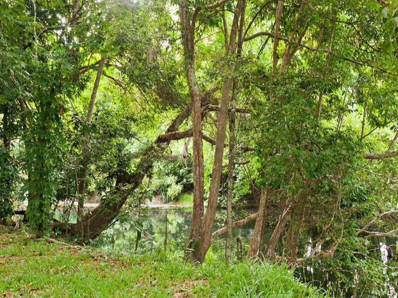 L38 Connolly Road, Mowbray QLD 4877