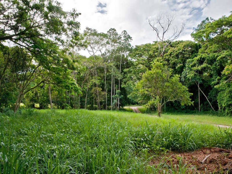 L38 Connolly Road, Mowbray QLD 4877