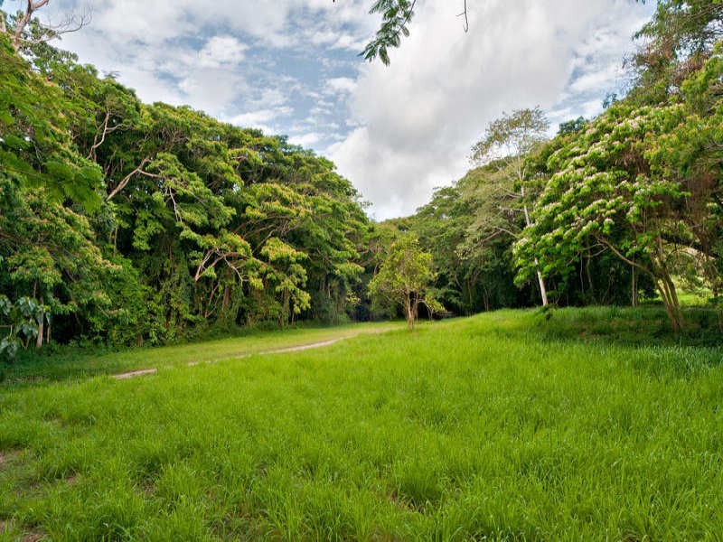 L38 Connolly Road, Mowbray QLD 4877